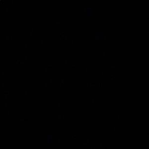 Meet your Posher, Malik